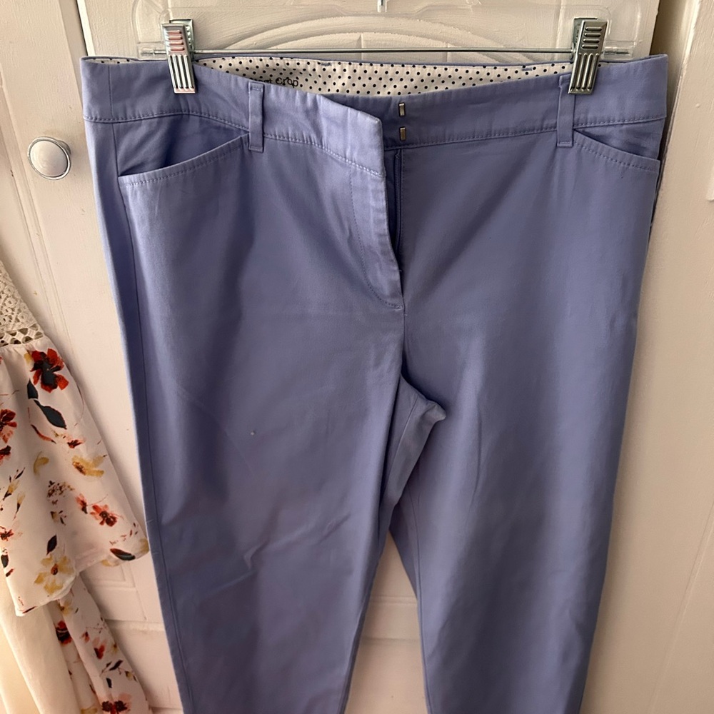 NWOT TALBOTS Straight-Leg Pants, Light Blue with Zipper Front, Belt Loops, pkts - Picture 3 of 8